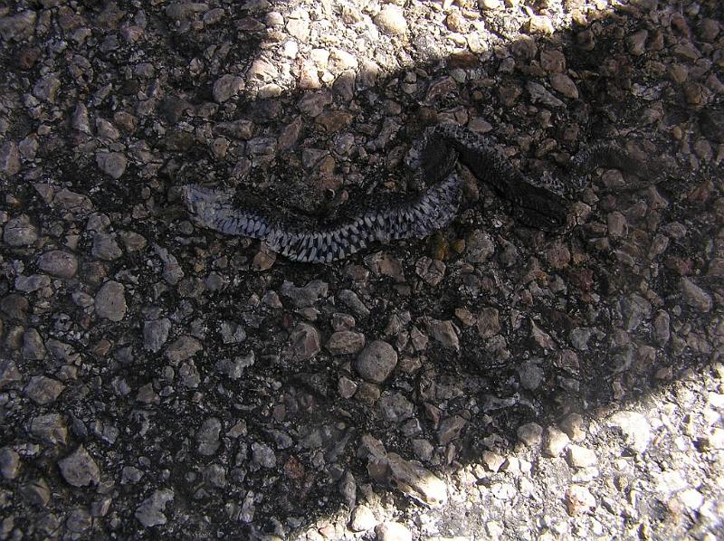 Suvine seiklus saarel (201) 